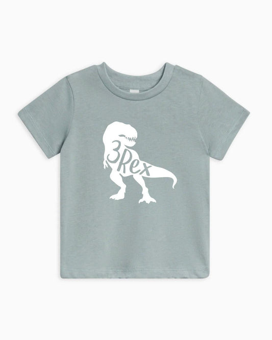 Three Rex Dinosaur Birthday Organic Cotton Kids T-Shirt – 3rd Birthday Baby & Youth Tee