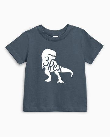 Three Rex Dinosaur Birthday Organic Cotton Kids T-Shirt – 3rd Birthday Baby & Youth Tee