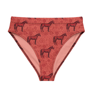 Scarlet Rein high-waisted bikini bottom
