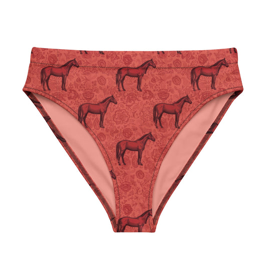 Scarlet Rein high-waisted bikini bottom