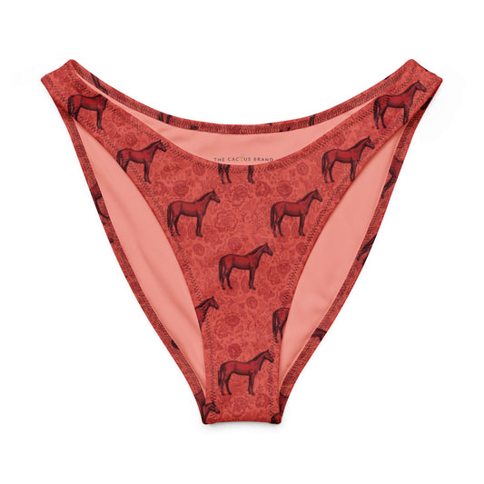 Scarlet Rein V-cut bikini bottom